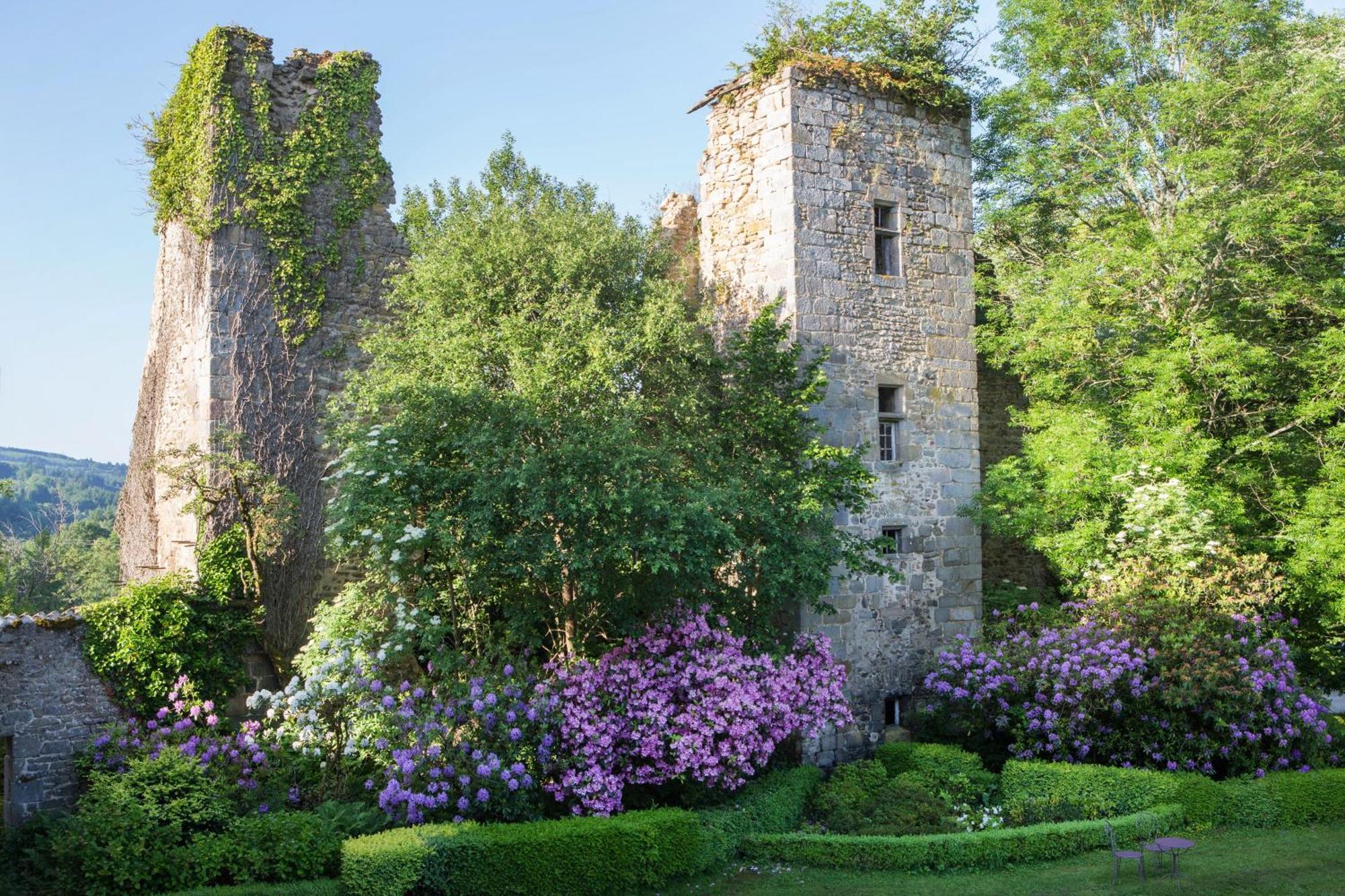 Abbaye Du Palais Bed & Breakfast Thauron Стая снимка